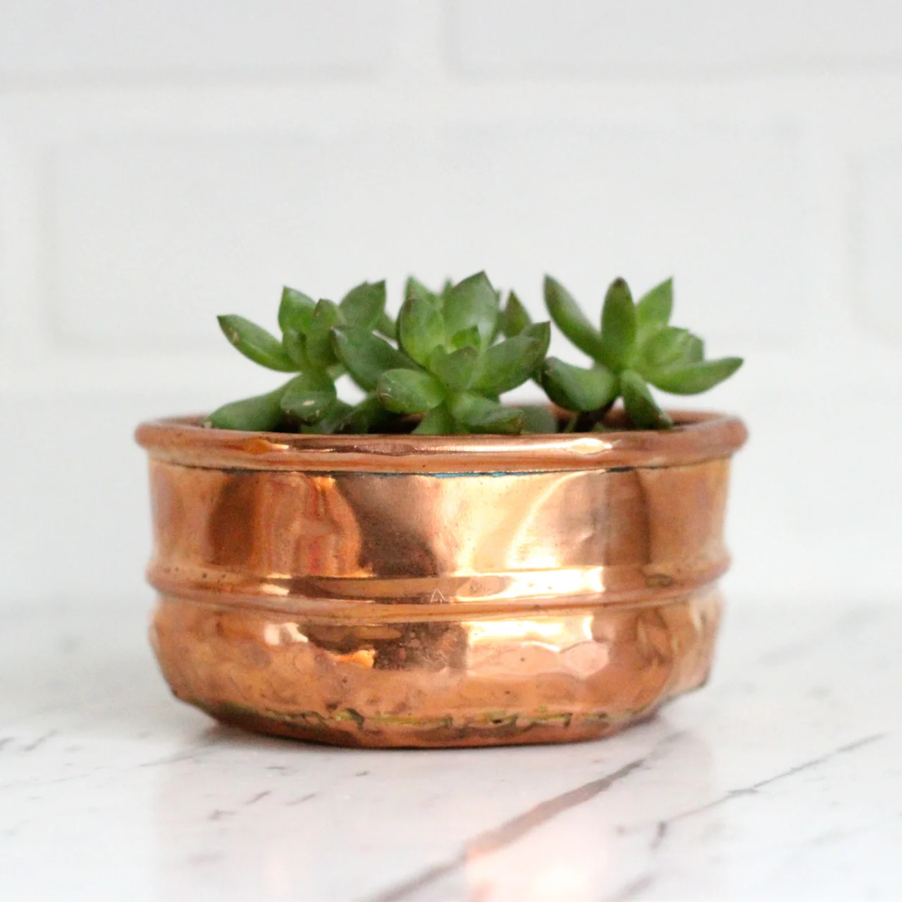 copper planter 1.1.jpg