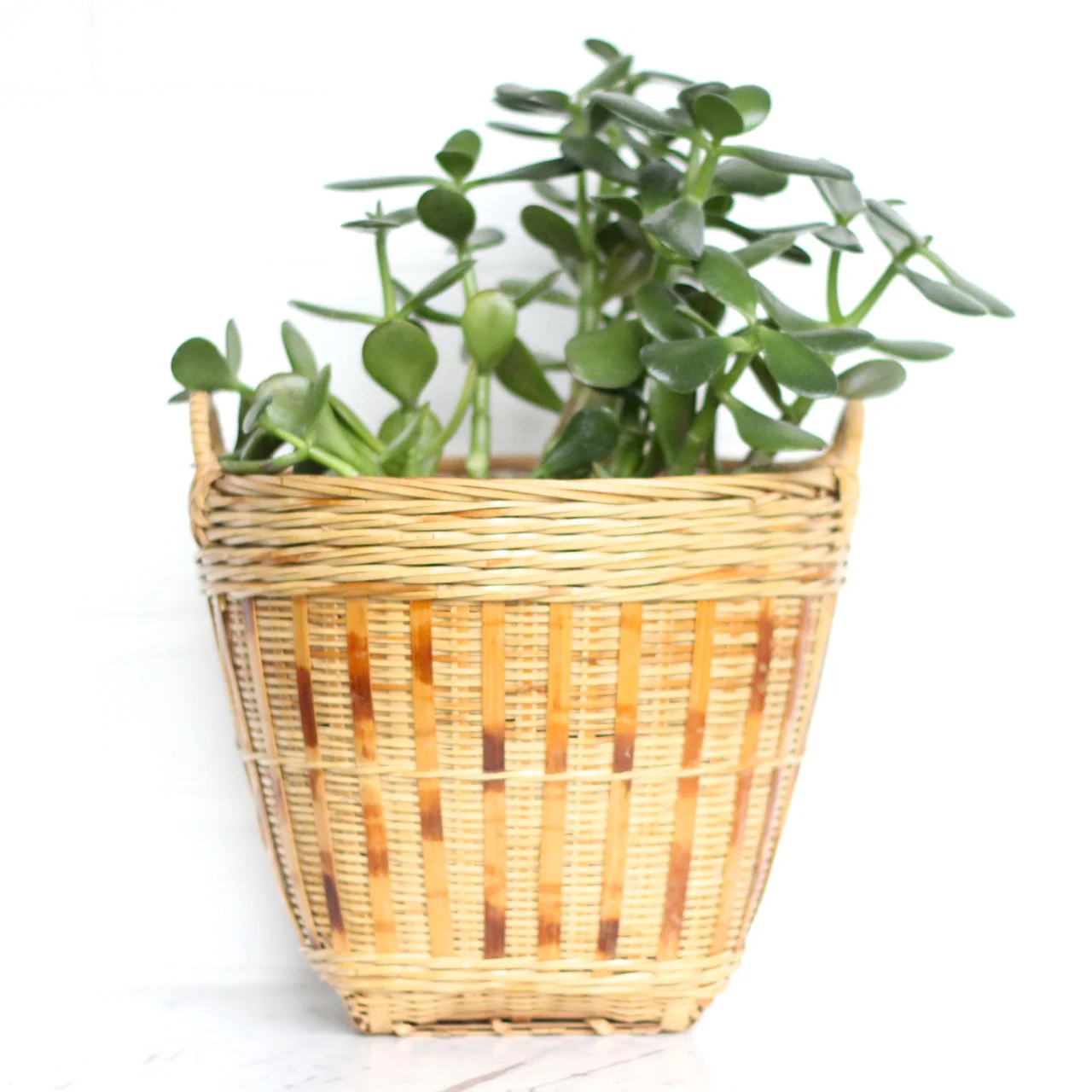 woven plant basket.1.jpg