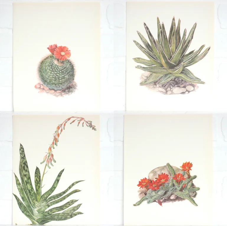 vintage cactus prints left coast revivals leftcoastrevivals.3.jpg