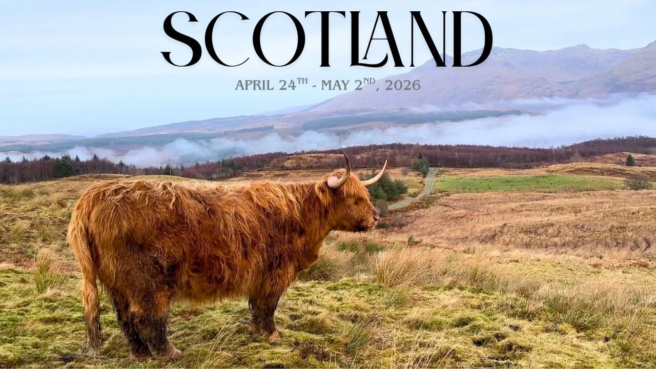 Scotland 2026