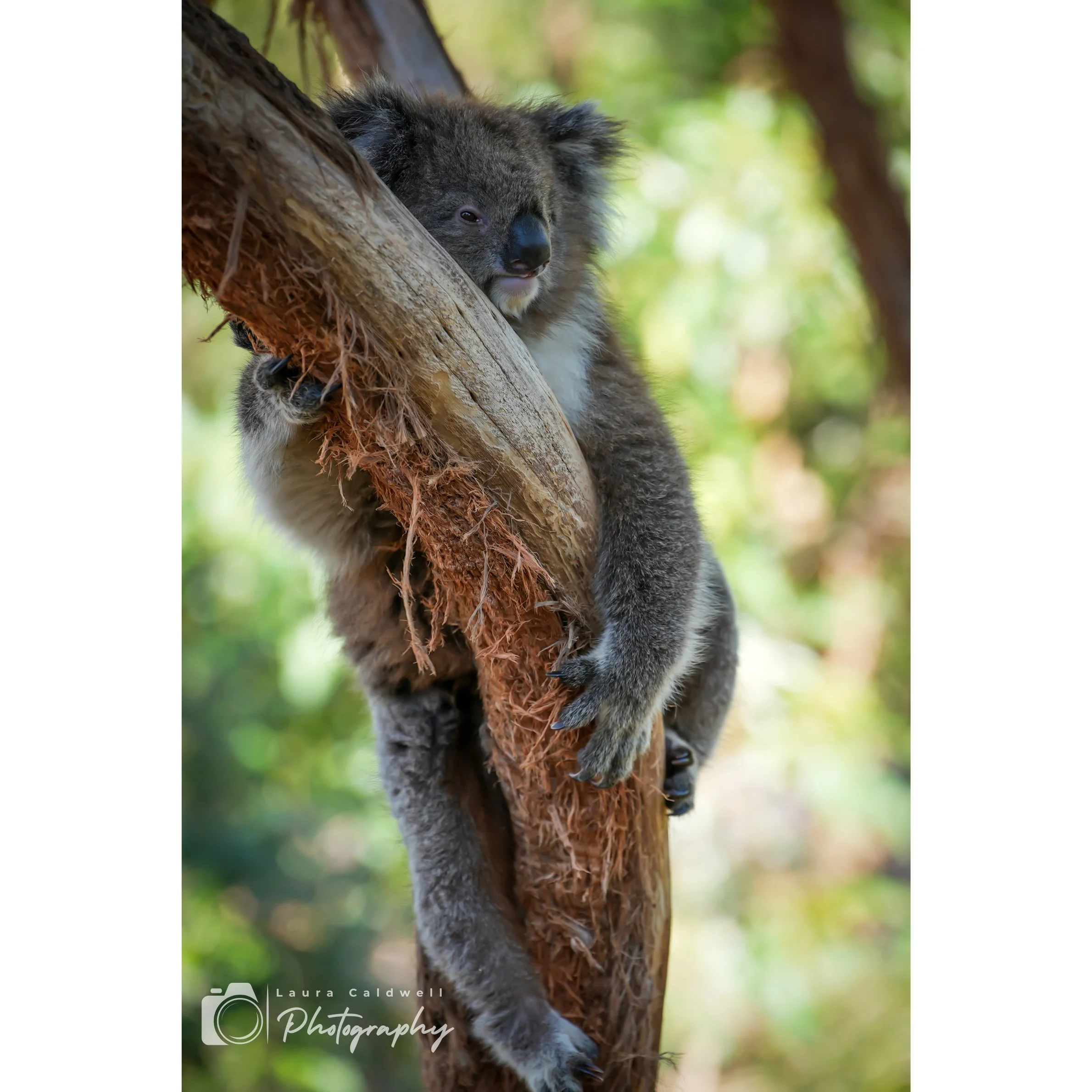 Untitled design (8).jpg