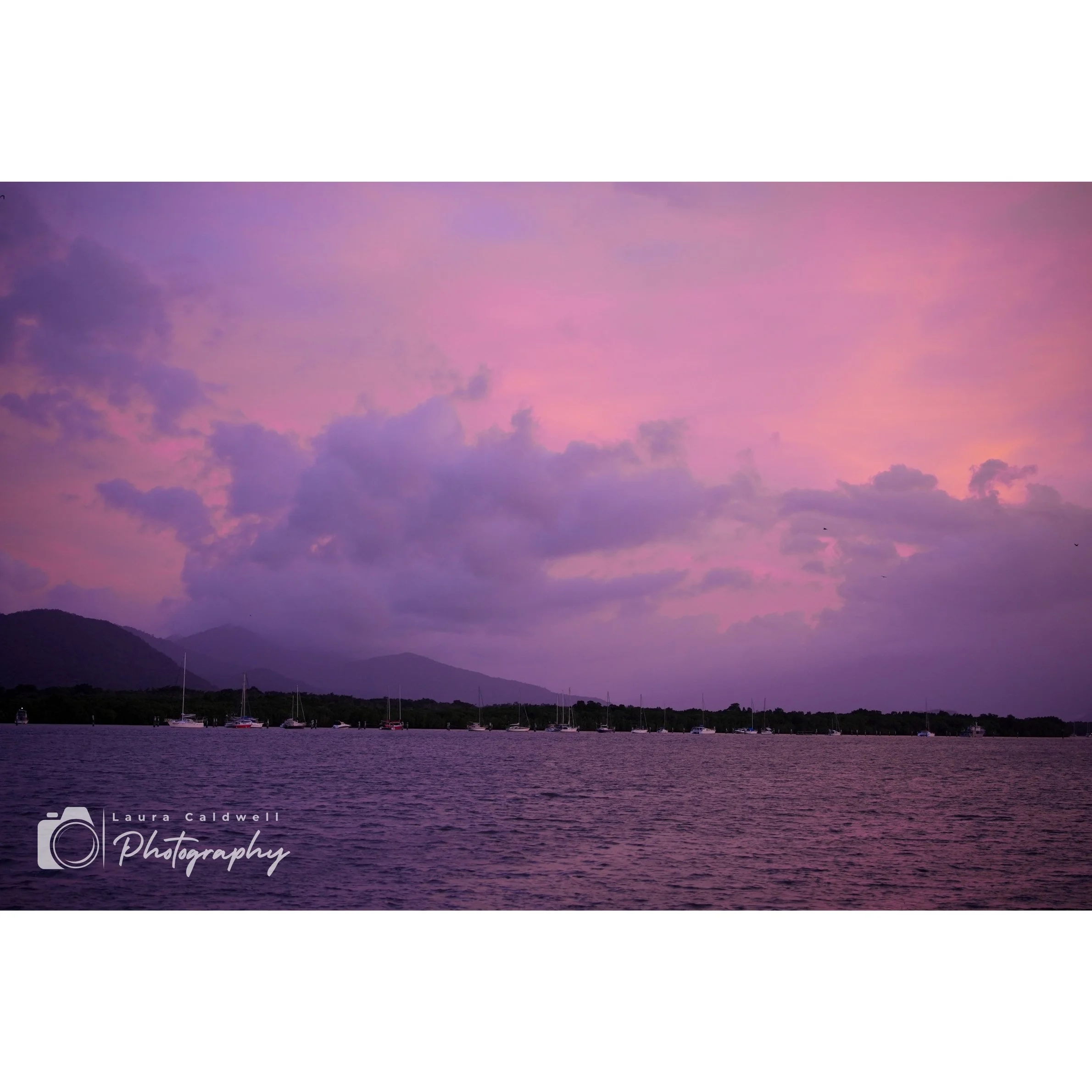 Untitled design (14).jpg