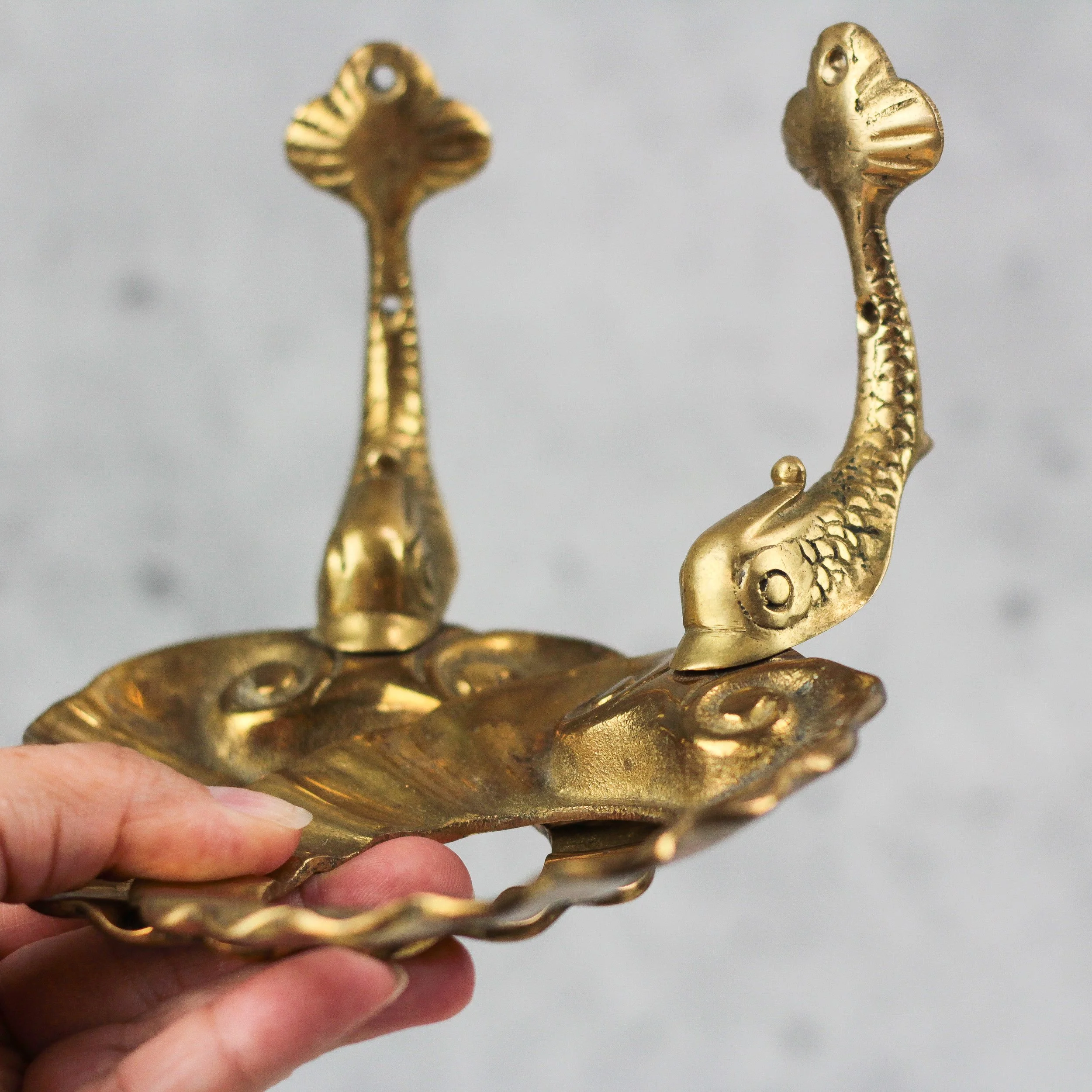 IMG_0480.jpg