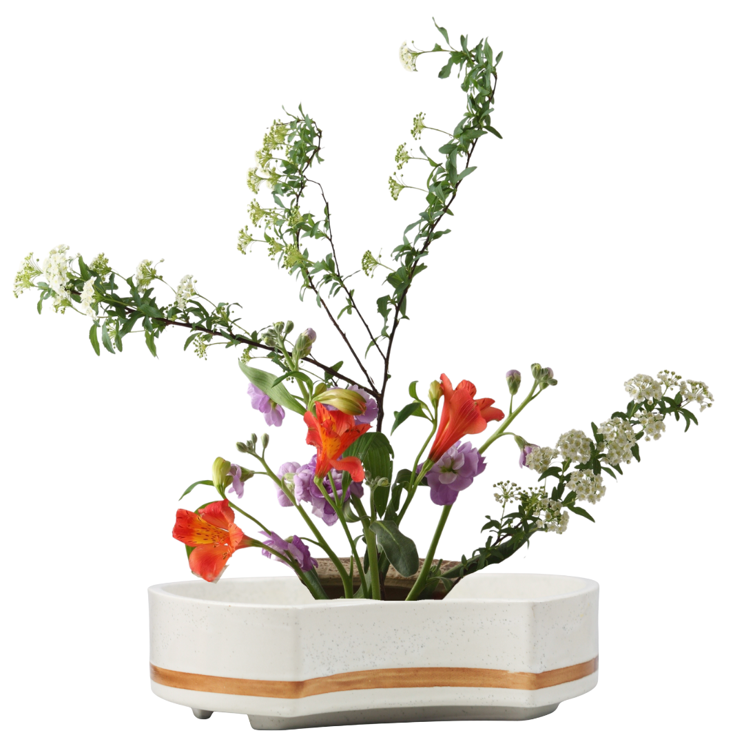 Untitled design (1).png