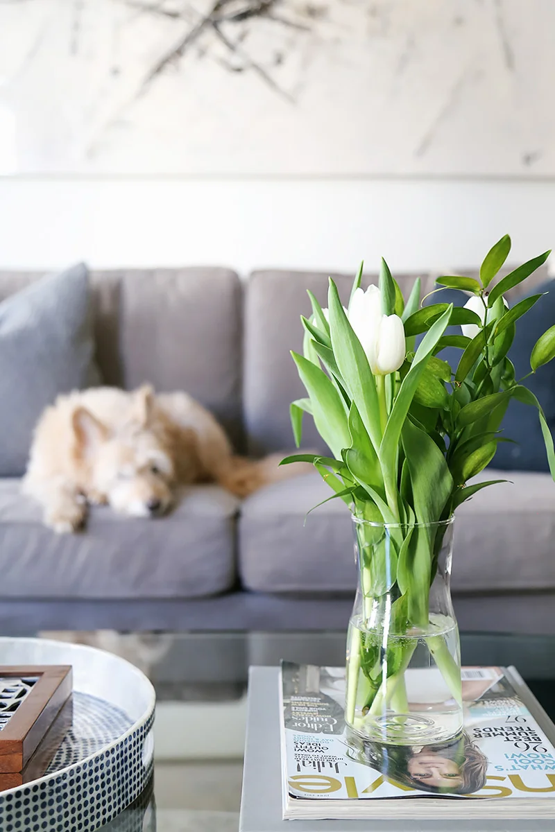 HowToDecorateYourCoffeeTable5.jpg