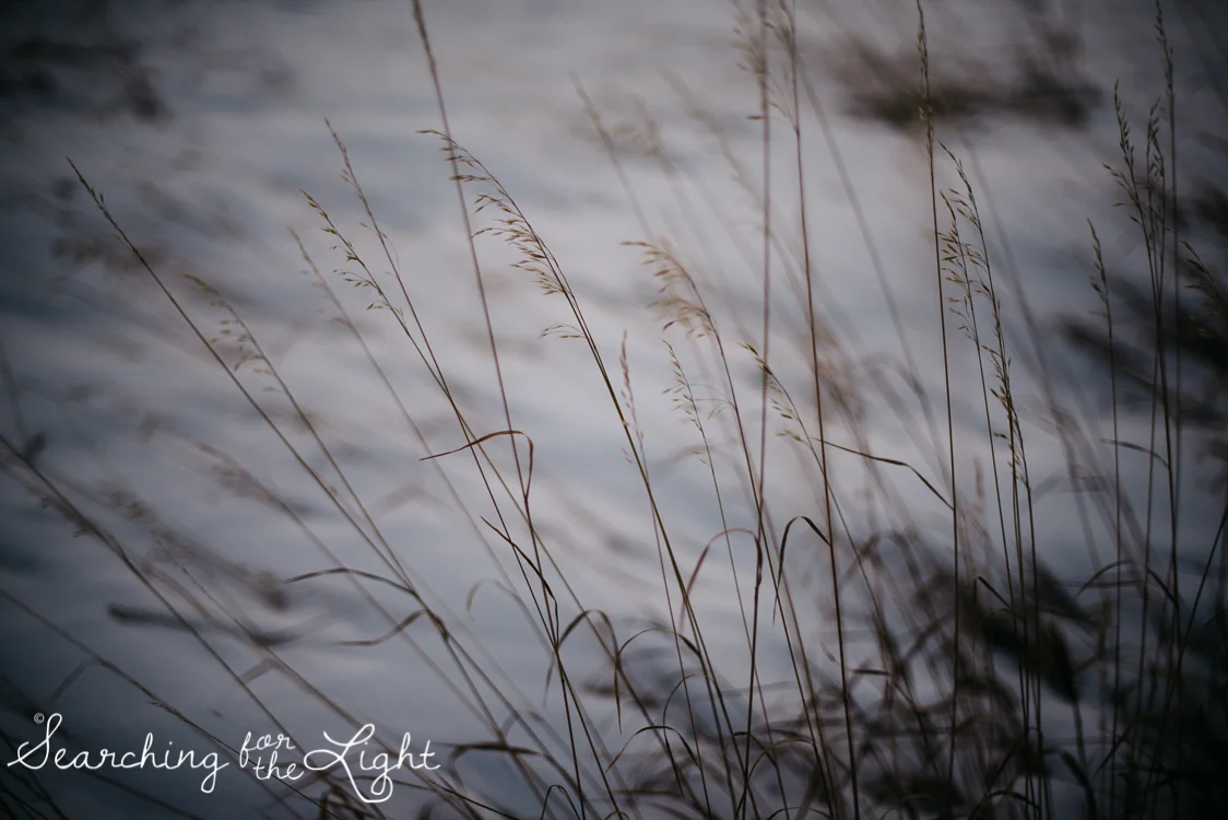 19mountain_wedding_photographer_lookout_mountain_engagement_photos_jordan&jace-_529.jpg
