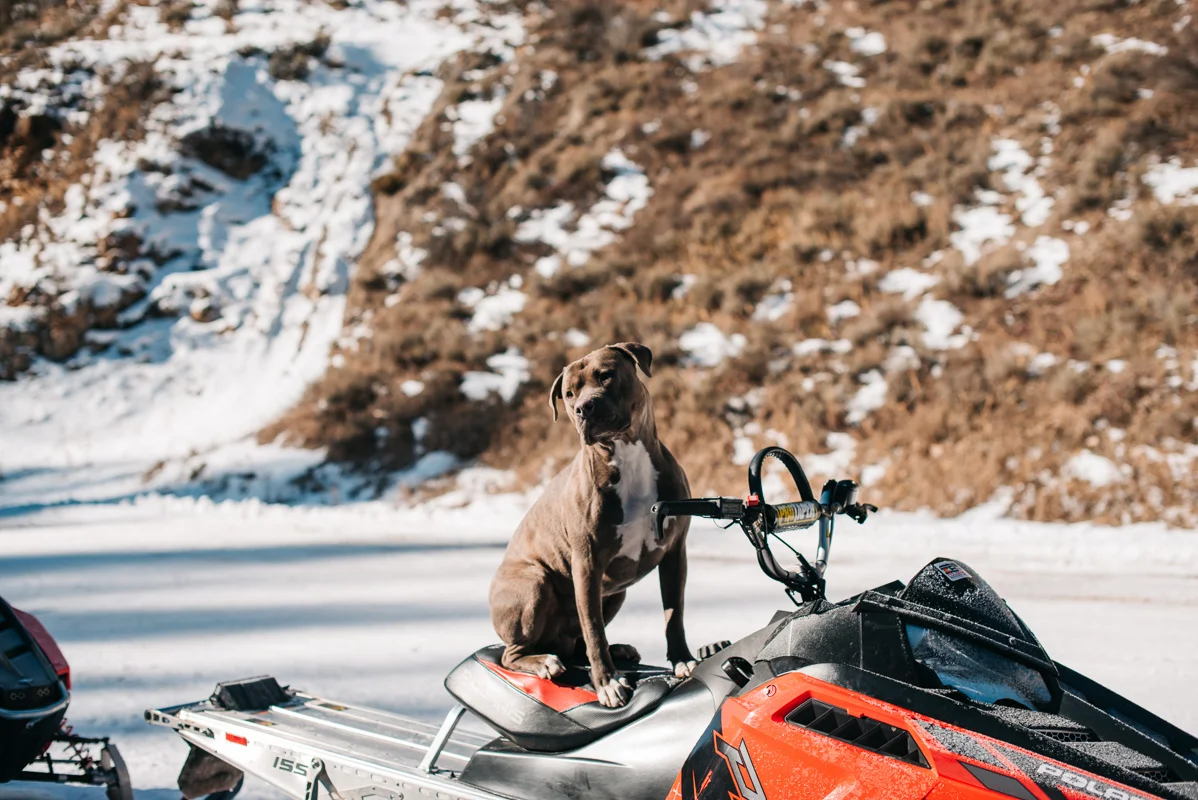 Snowmobile Adventure Winter Mountain Elopement | Vail Pass Winter Elopement | Colorado Elopement Photographer