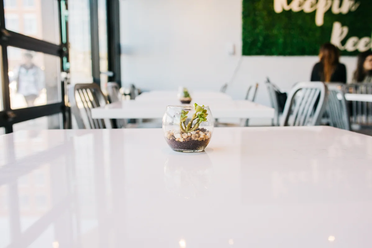 Commercial Branding Small Business Photography | Denver, Colorado