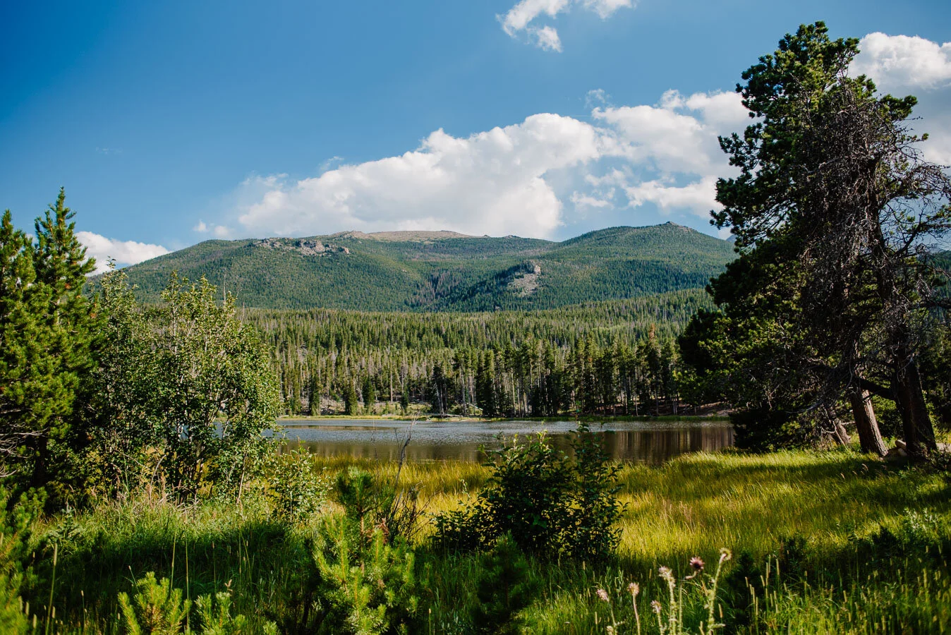 Rocky Mountain National Park Colorado Elopement Photographers { Melanie & Samuel | Colorado Elopement Photos}
