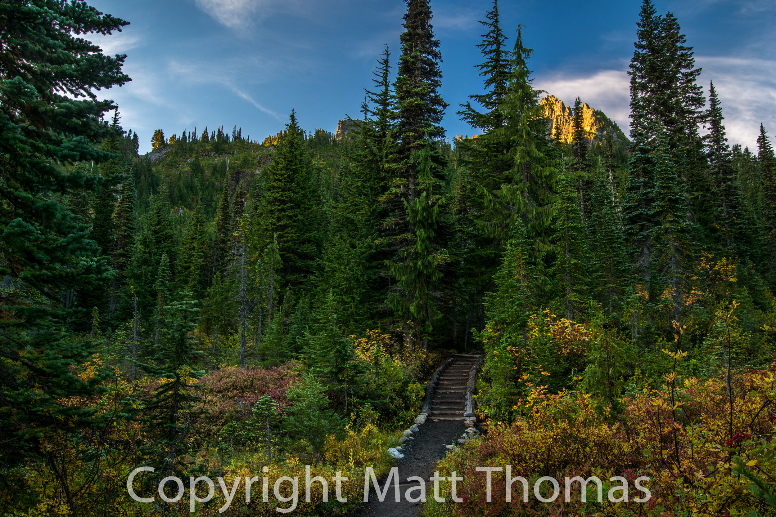 Trail to Pinnacle Peak