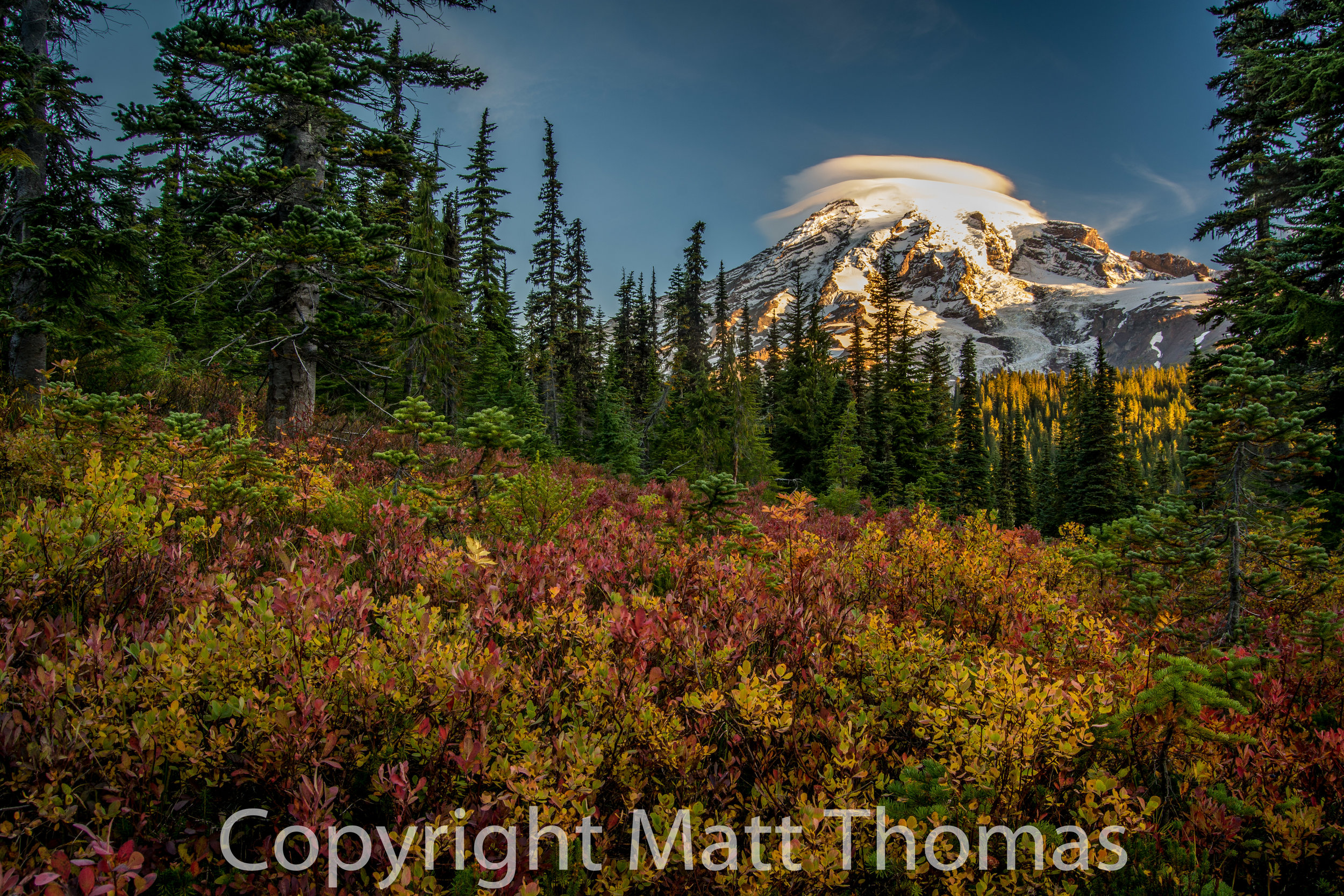 Fall- Mt. Rainier