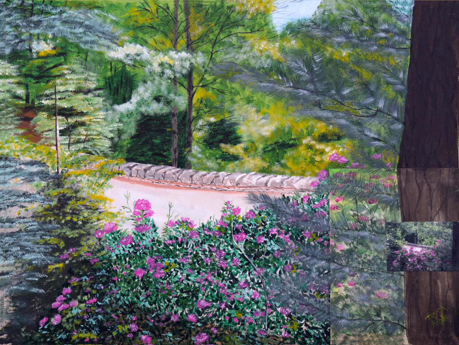 Rhododendrons Next To Drive