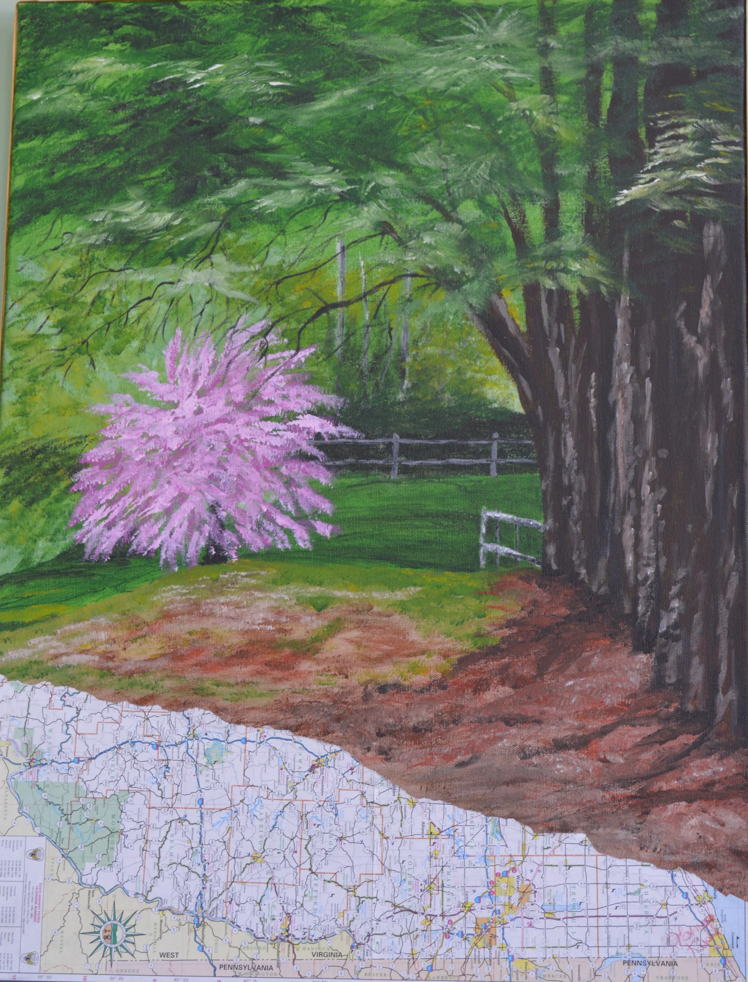 Pine&CherryTrees (2).JPG