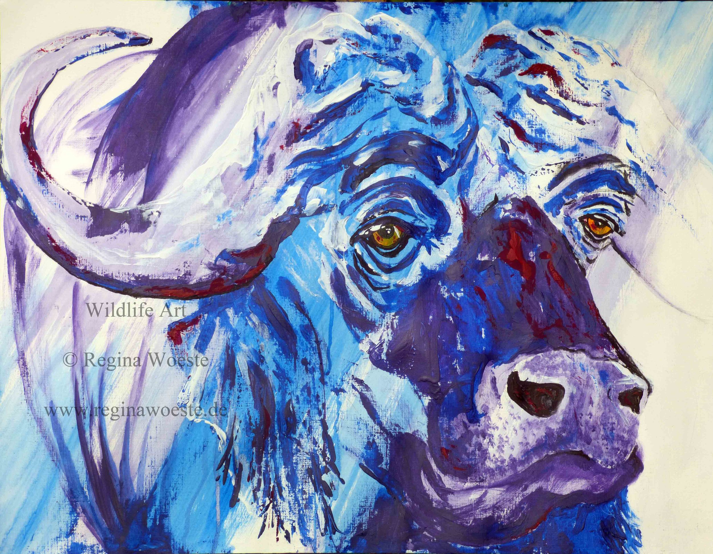Cape Buffalo, 50 x 65 cm, Acrylic on paper, 2014.jpg