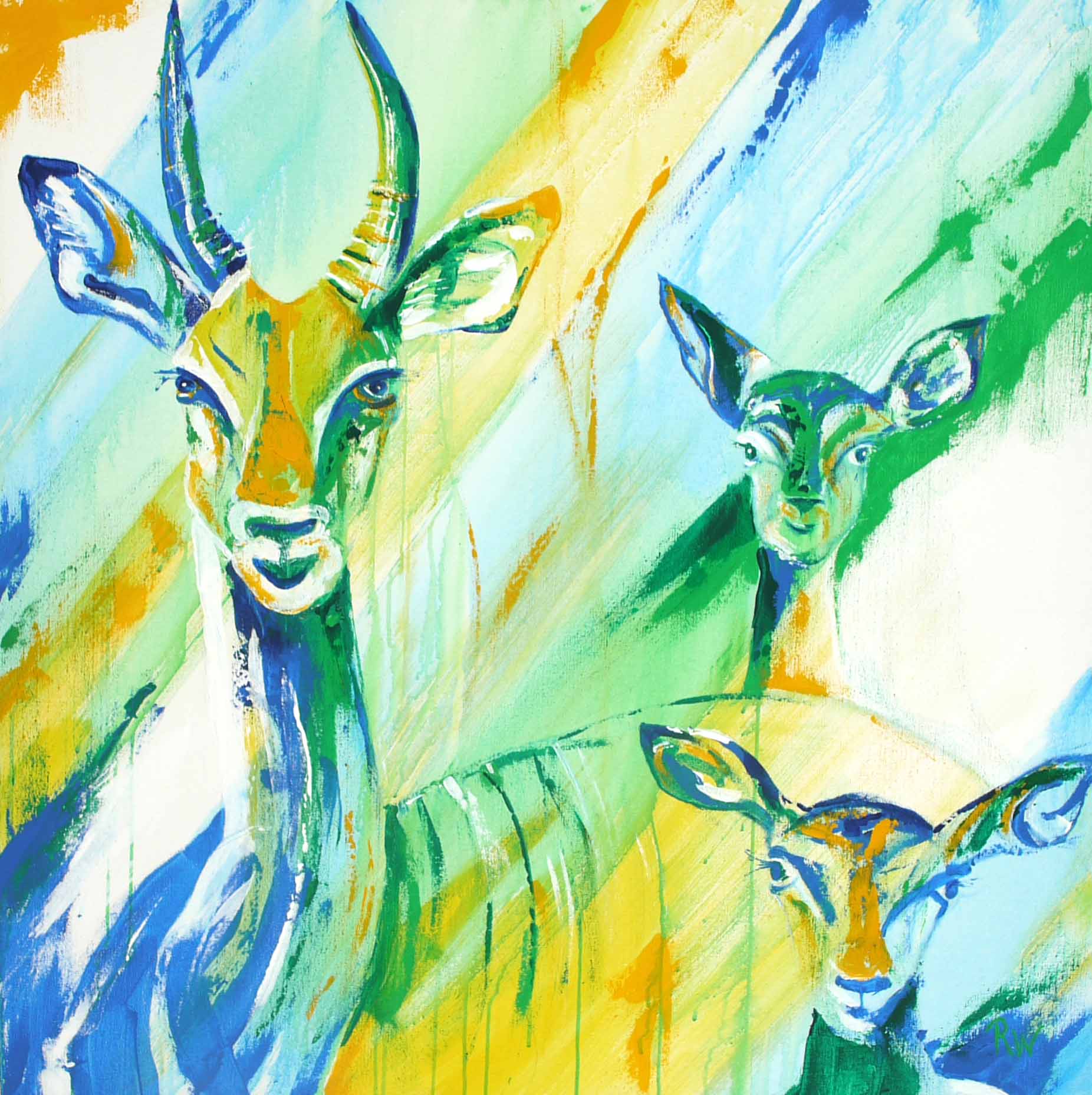  Antilopes 100 x 100 cm Acrylic on canvas 