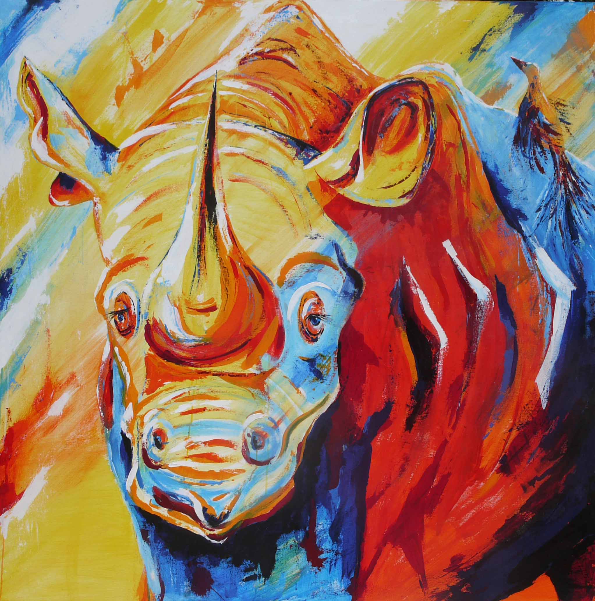 Rhino Big Boy Original 150 x 150 cm.jpg