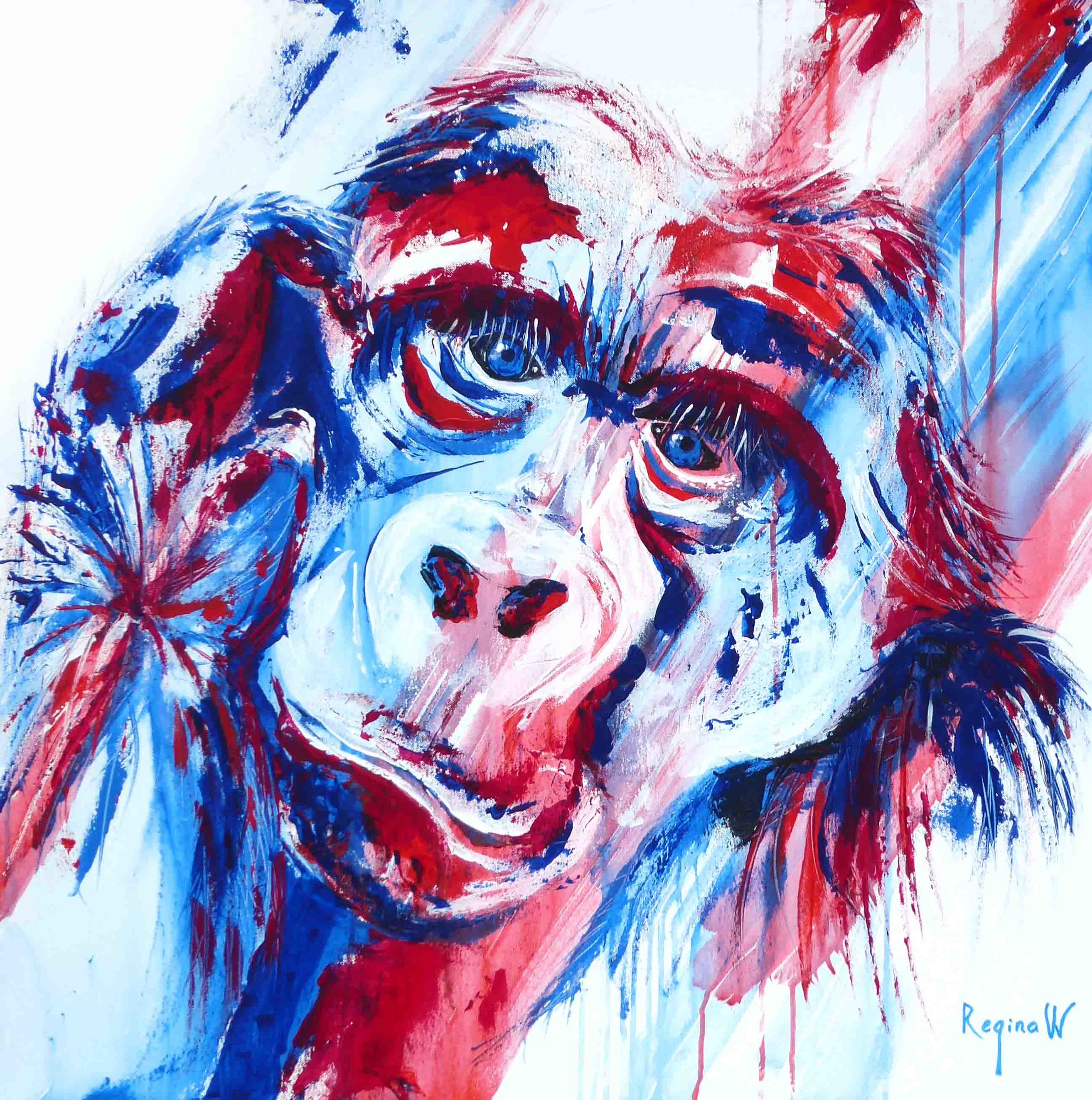 Mountain gorilla Rhenania 80 x 80 cm Acrylic on canvas 2017.jpg