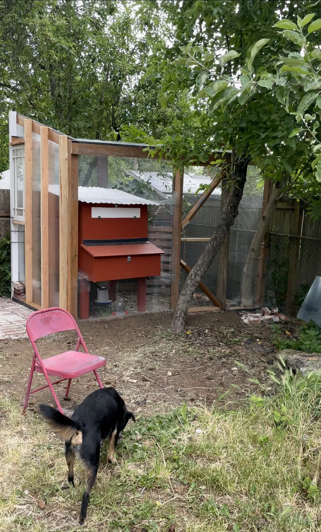 Chicken coop and run
