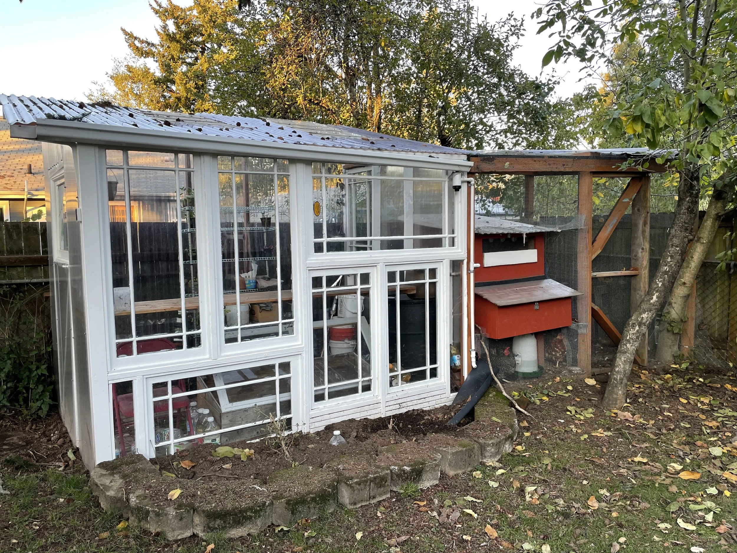 Greenhouse / Chicken Coop Combo