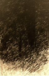 Brushworks.png