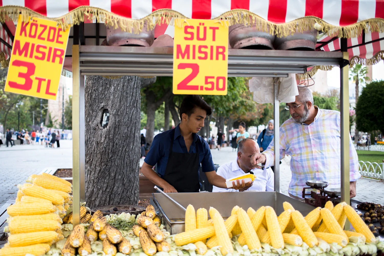 turkey-mpphotography-WEB-5273.jpg