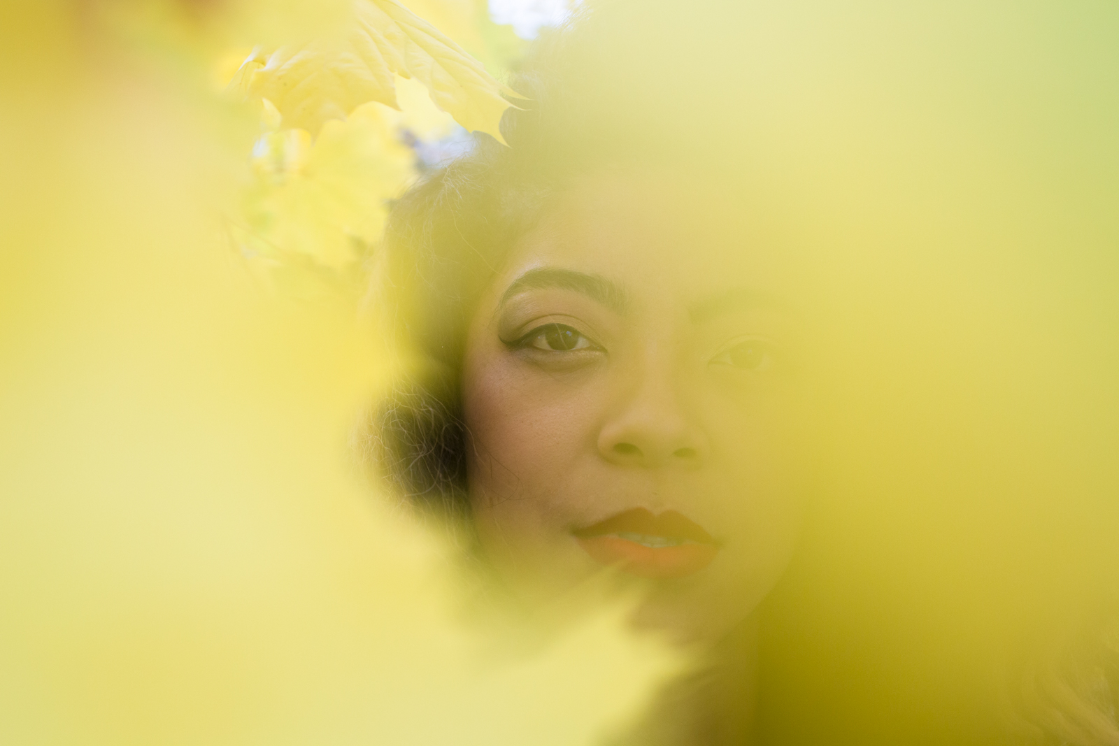 marissa-discoleaves-mpphotography-WEB-4231.jpg