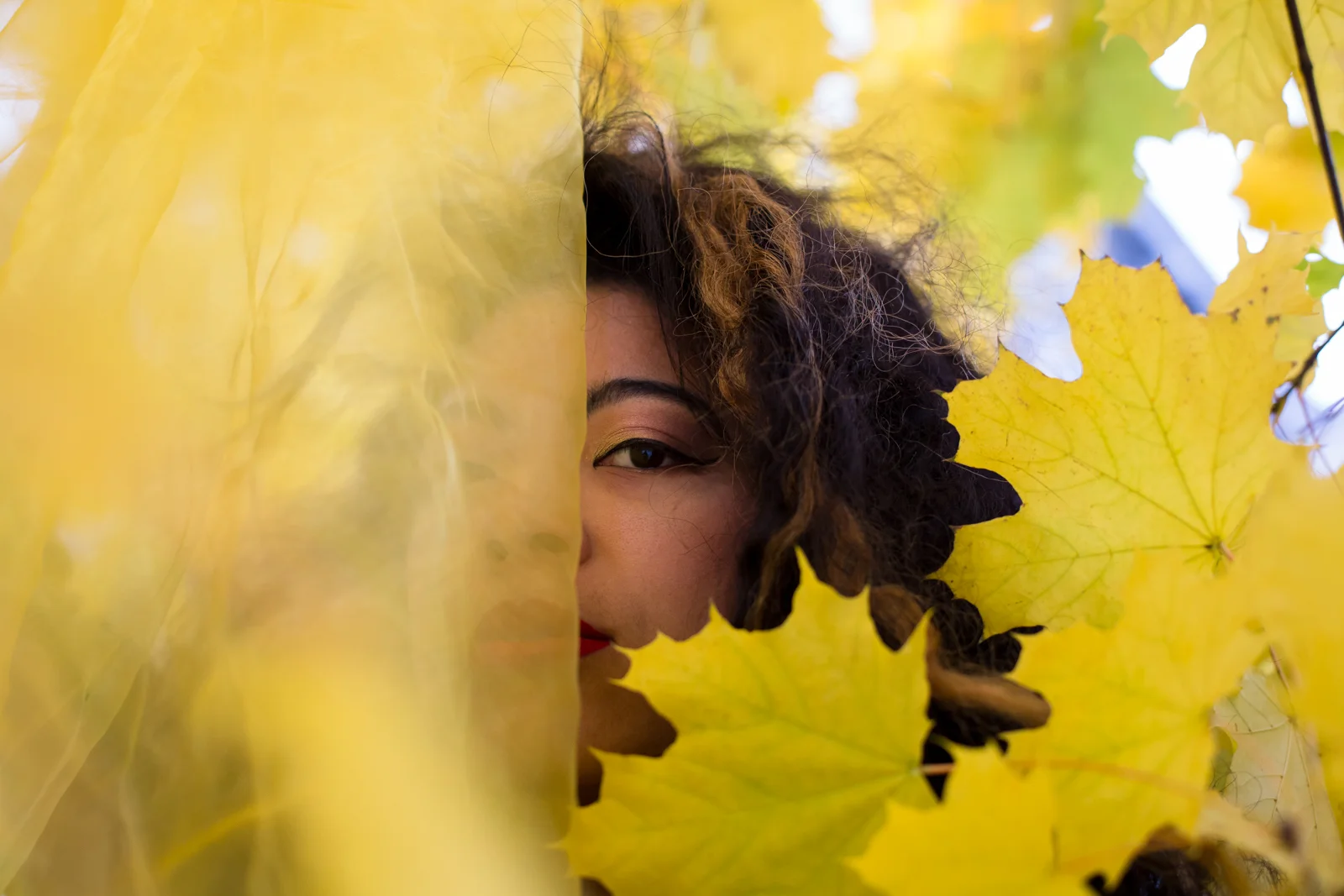 marissa-discoleaves-mpphotography-WEB-4250.jpg