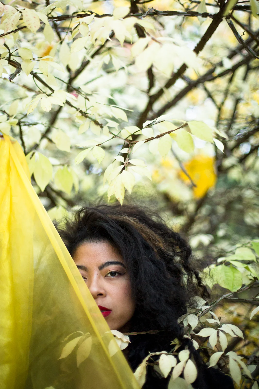 marissa-discoleaves-mpphotography-WEB-4559.jpg