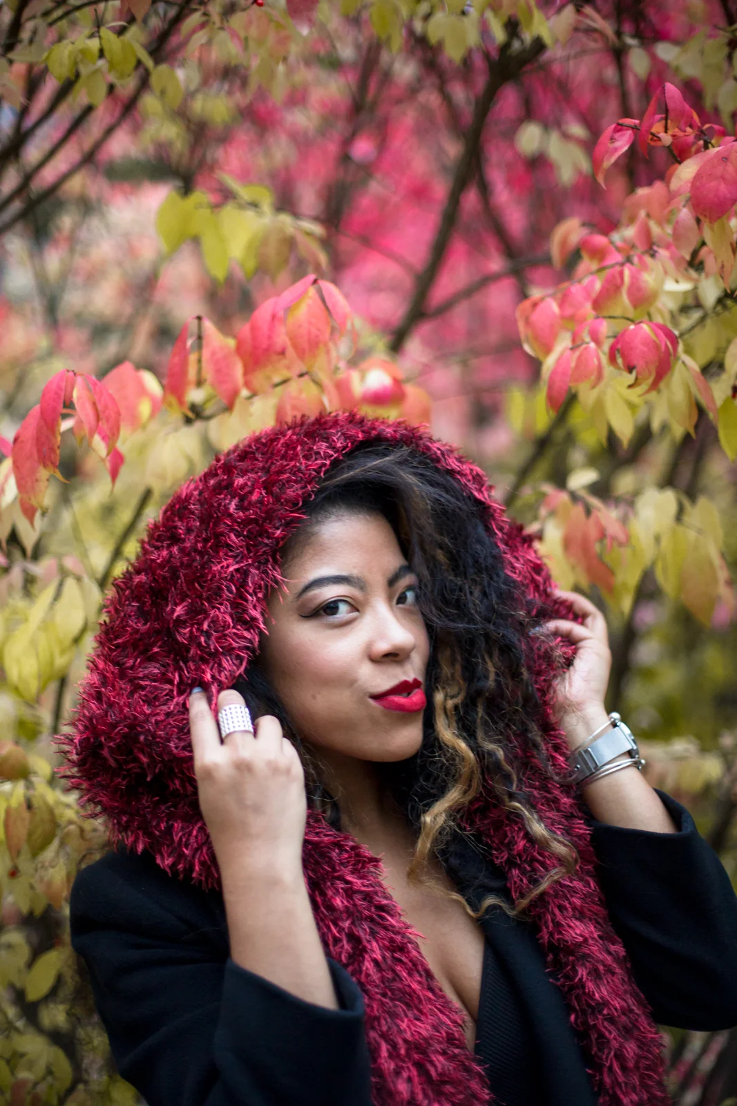 marissa-discoleaves-mpphotography-WEB-4616.jpg