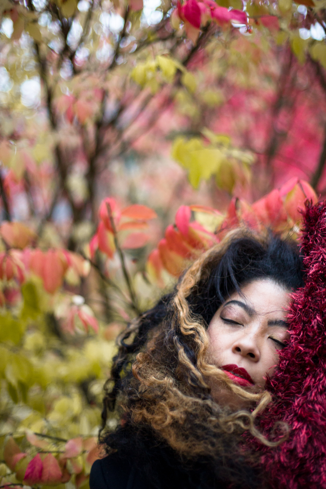 marissa-discoleaves-mpphotography-WEB-4573.jpg
