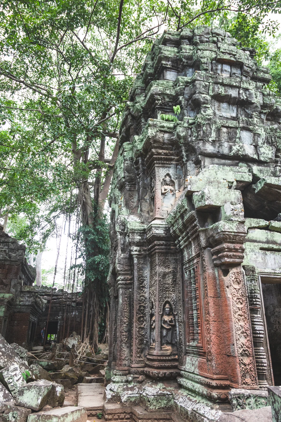 cambodia-mpphotography-WEB-8041.jpg