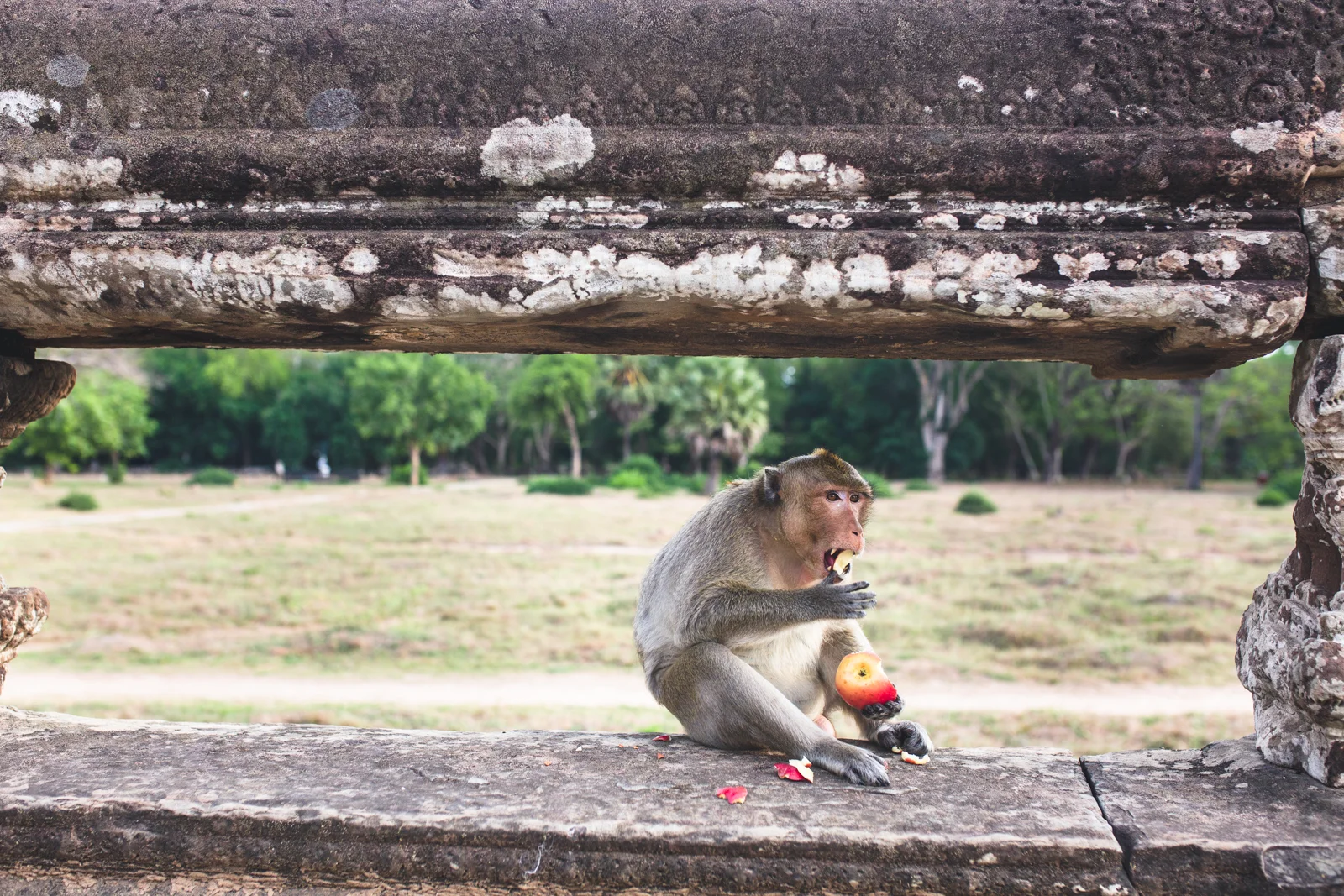 cambodia-mpphotography-WEB-8284.jpg