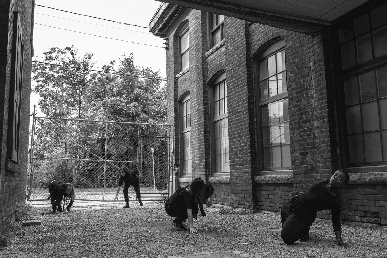thepack-mpphotography-WEB-1899.jpg