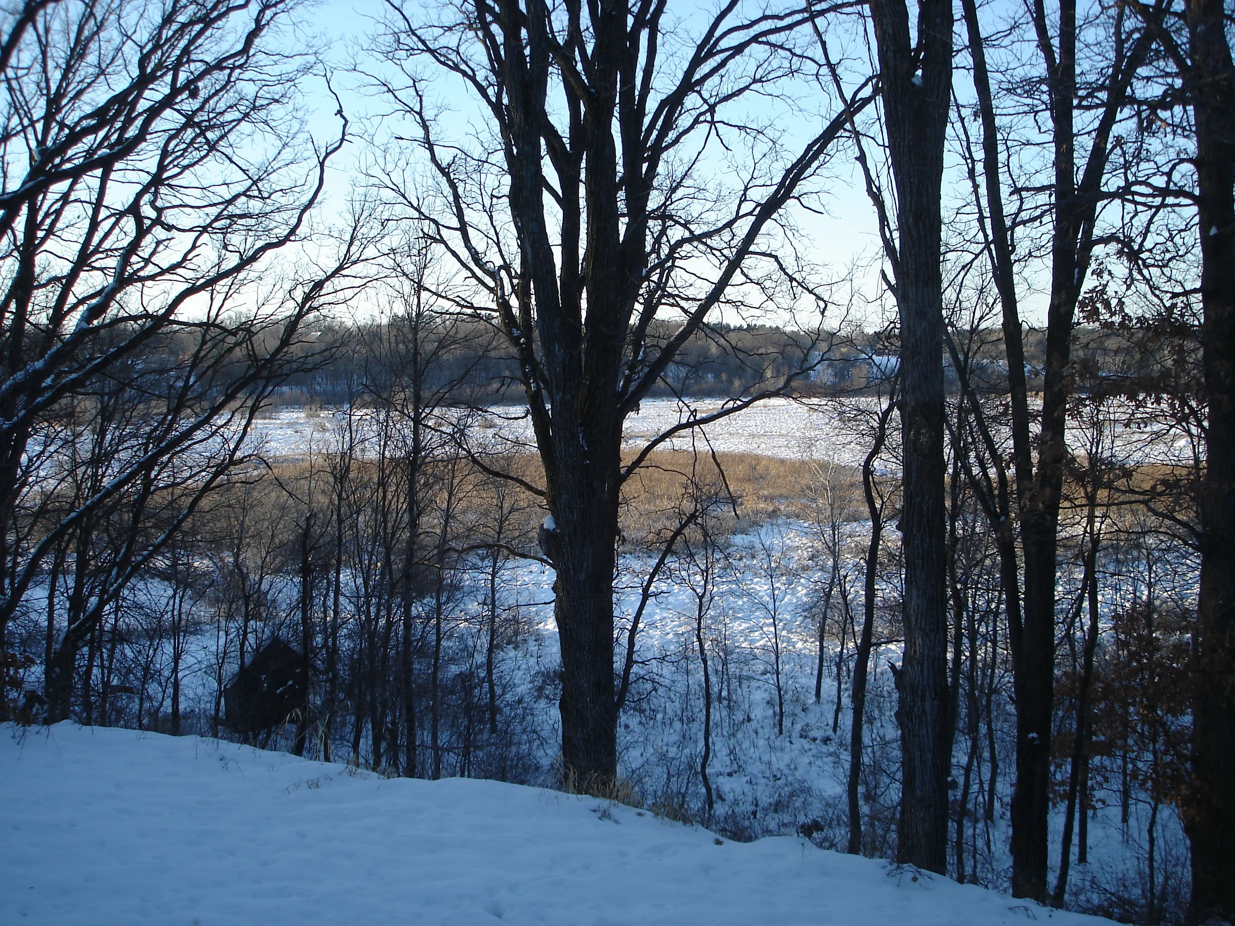 new years 2010 012.JPG