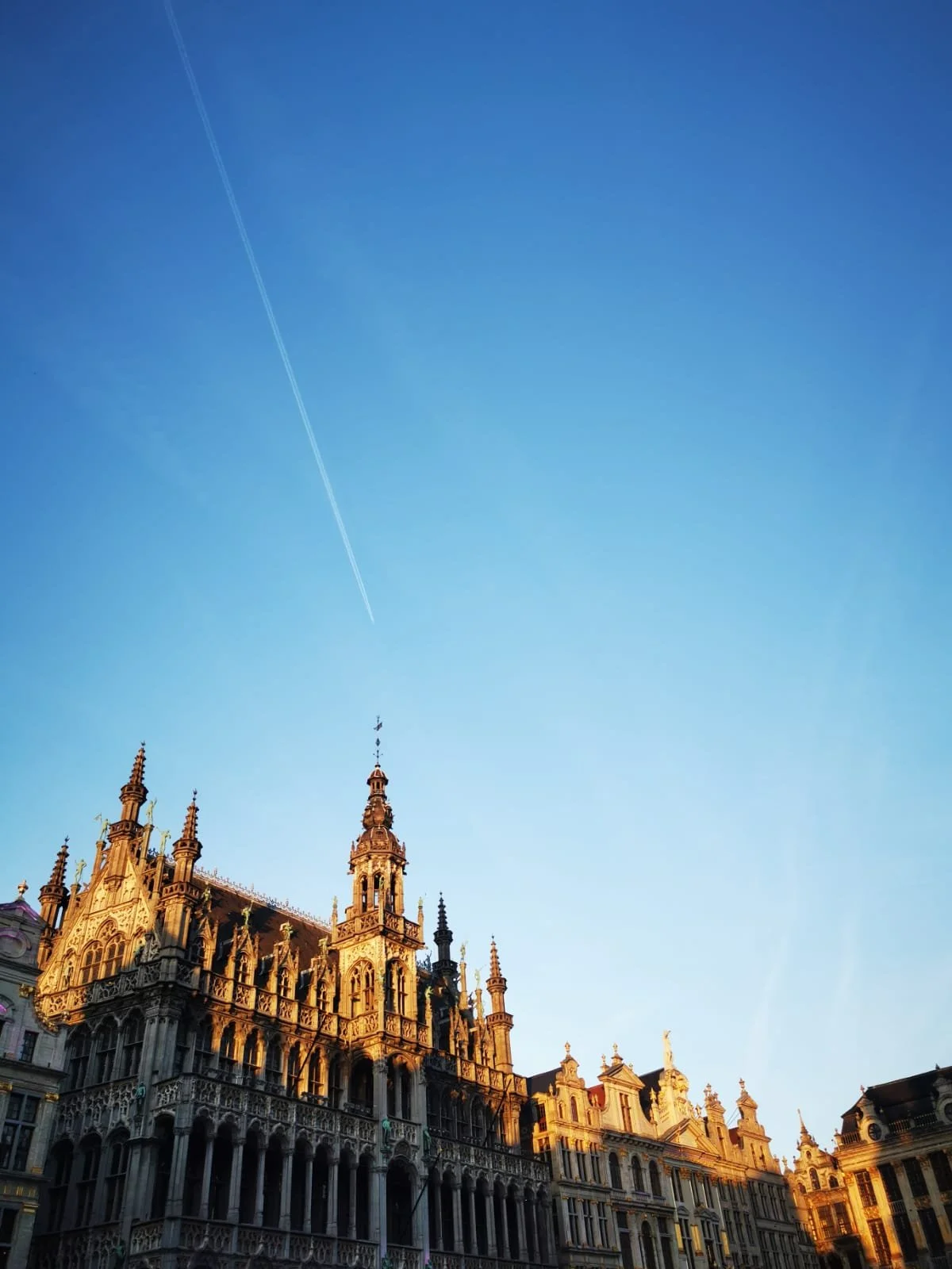 WhatsApp Image 2026-01-09 at 17.43.35.jpeg