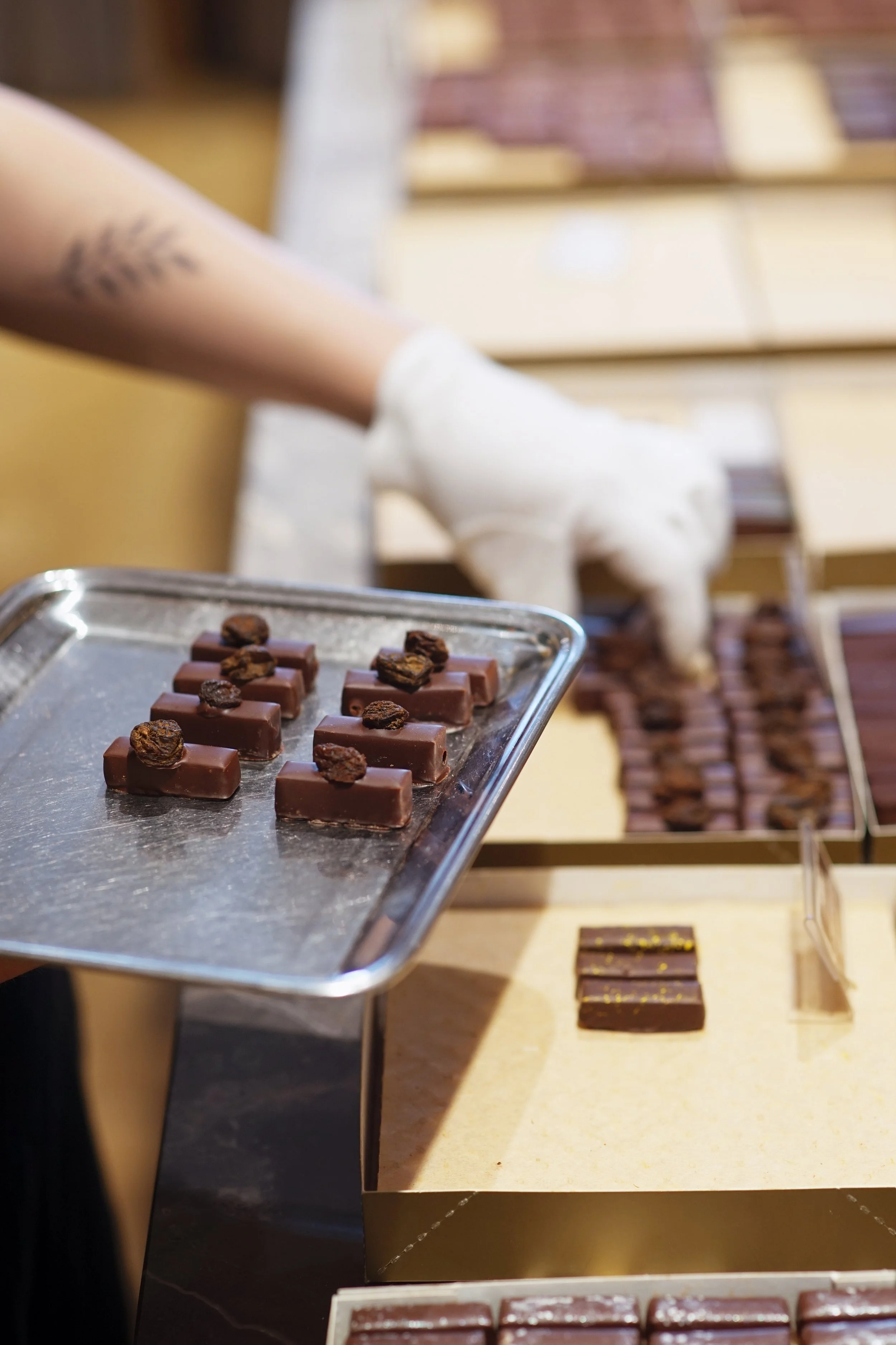 Copie de DSC09501.jpg