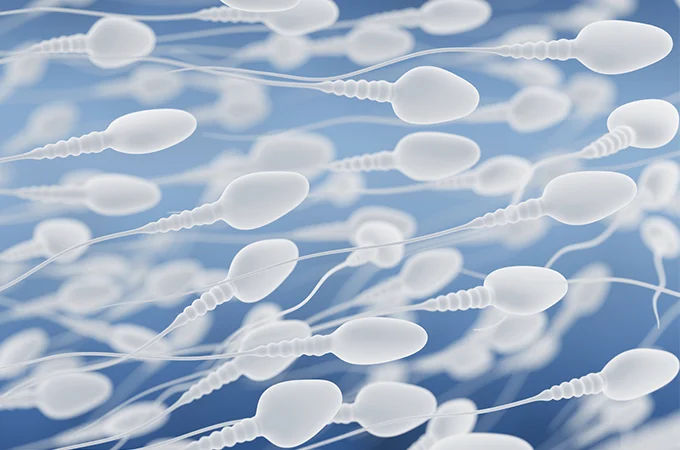 Photo Courtesy of Shady Grove Fertility
