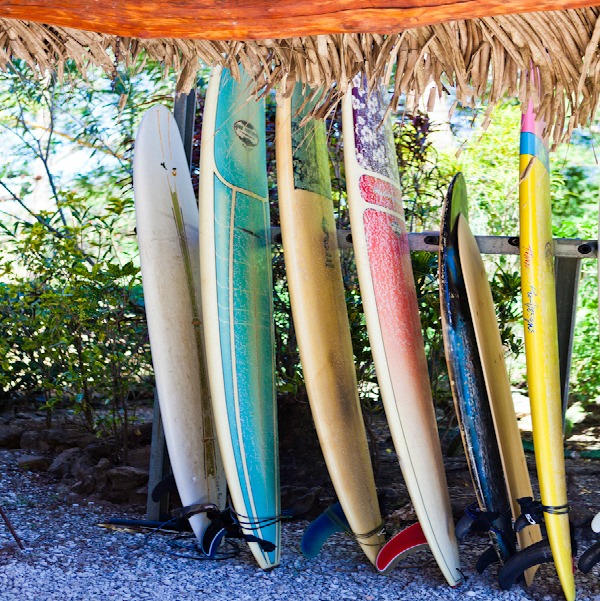 surfboards upright.jpg