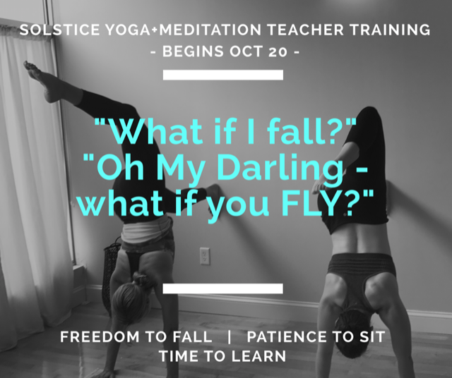 Teacher Training with Willa Starts Friday!