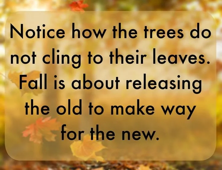 ed828d88336aba9dbfbff570f76d9415--fall-quotes-thanksgiving-quotes.jpg