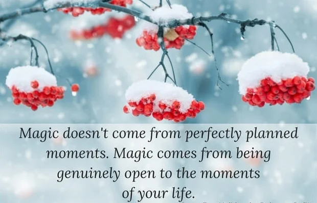 Magic-doesnt-come-from-perfectly-planned-moments.-Magic-comes-from-being-genuinely-open-to-the-moments-of-your-life.-1-1.jpg