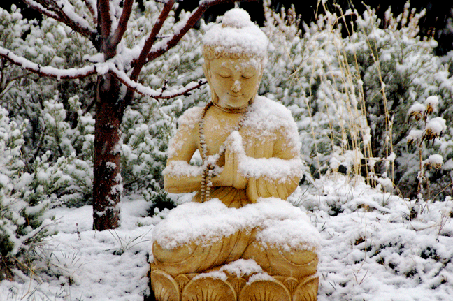 ALL CLASSES CANCELLED on Thursday, January 4th 