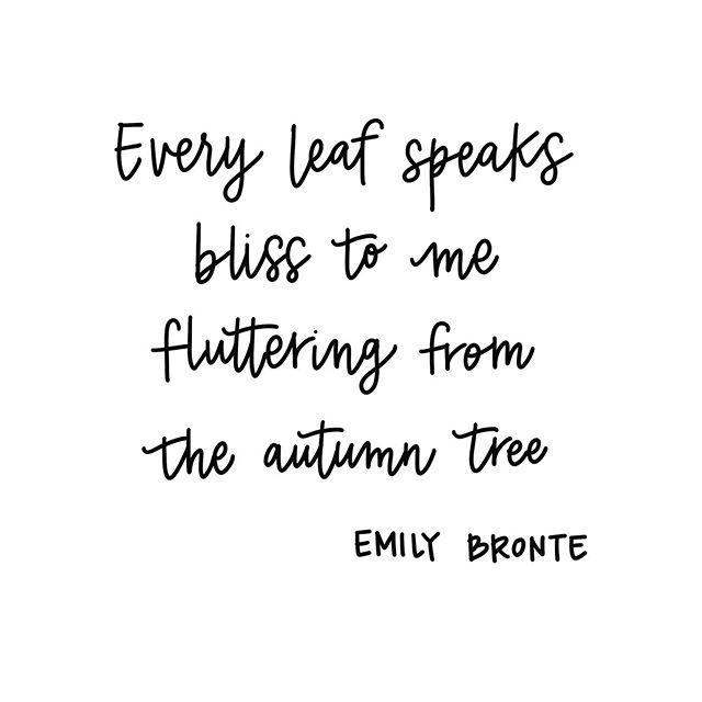 It was 90 degrees today here in LA...😭 I&rsquo;m waiting for fall to arrive!  We&rsquo;ve had glimmers of fall and days when I felt a slight chill in the air...and the days are definitely getting shorter. I&rsquo;m so jealous of all of you who live 