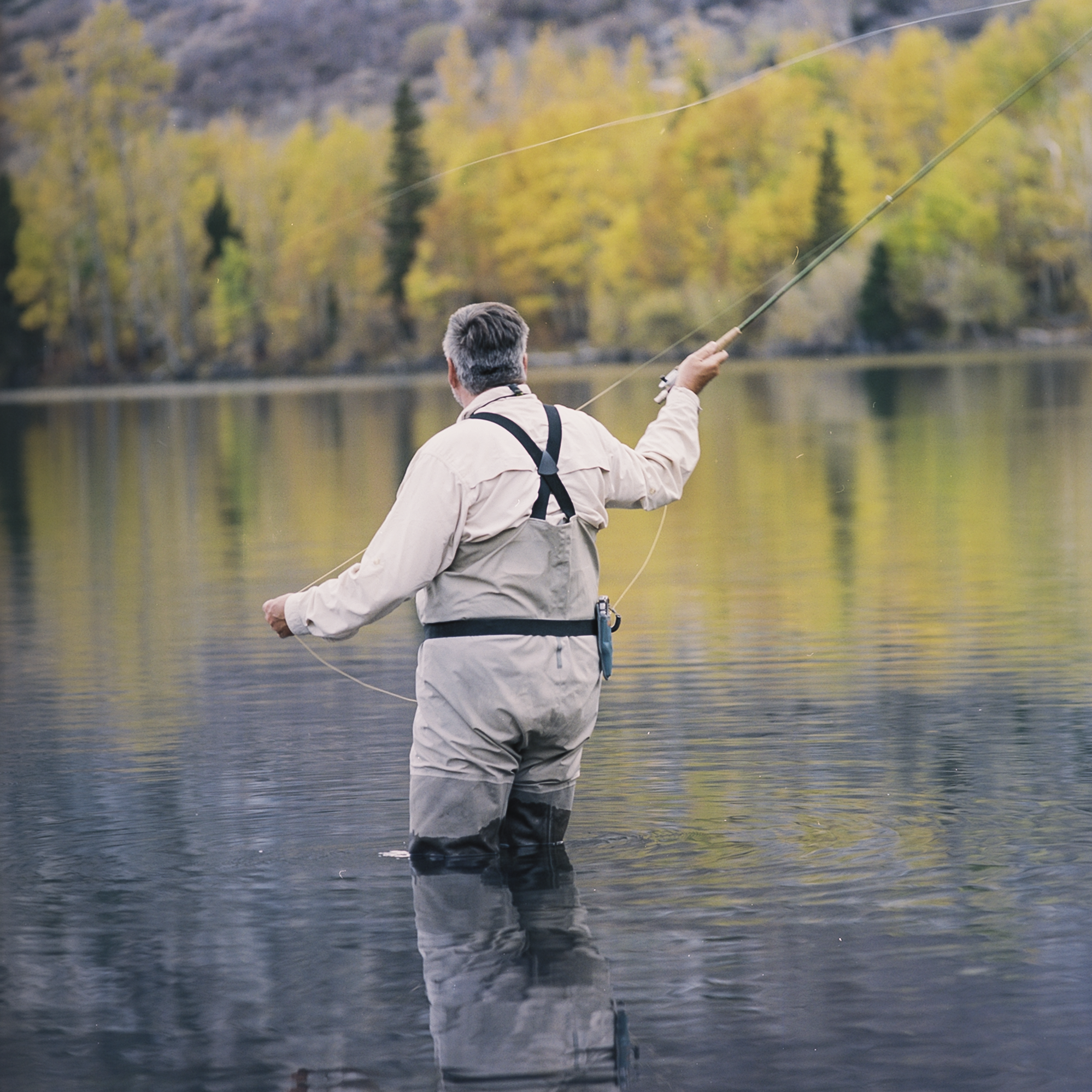 038400-R1-E009_lq.png