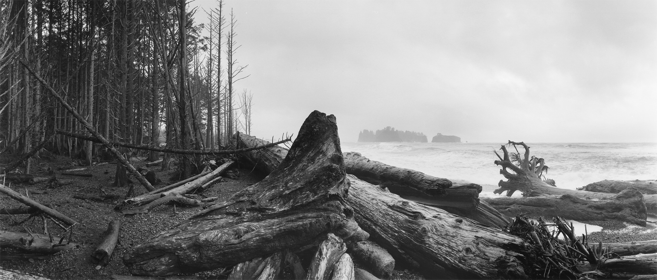 Rialto Beach Beach Washington