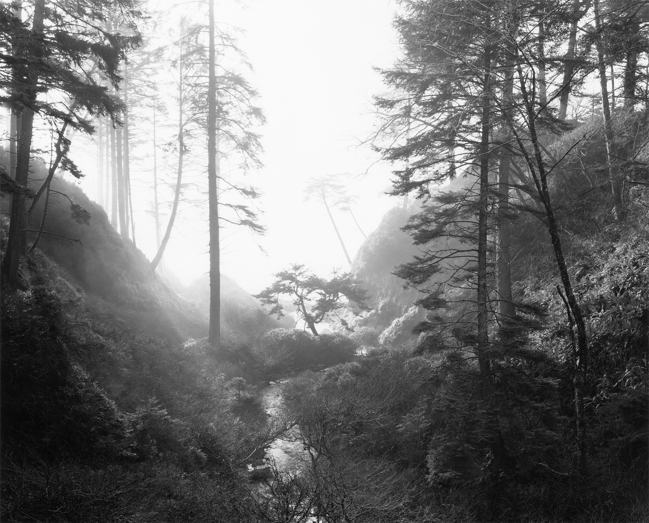 North of Ruby Beach Washington