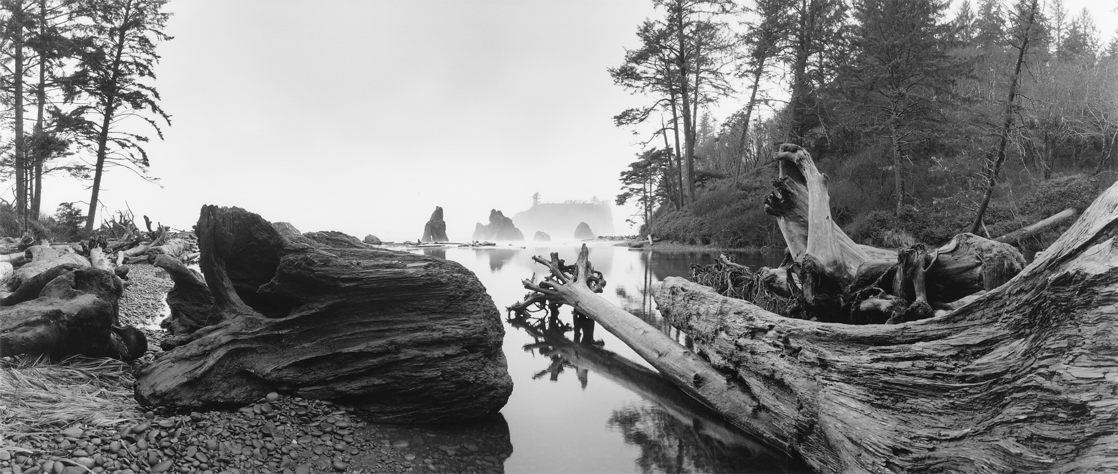 Ruby Beach Washington
