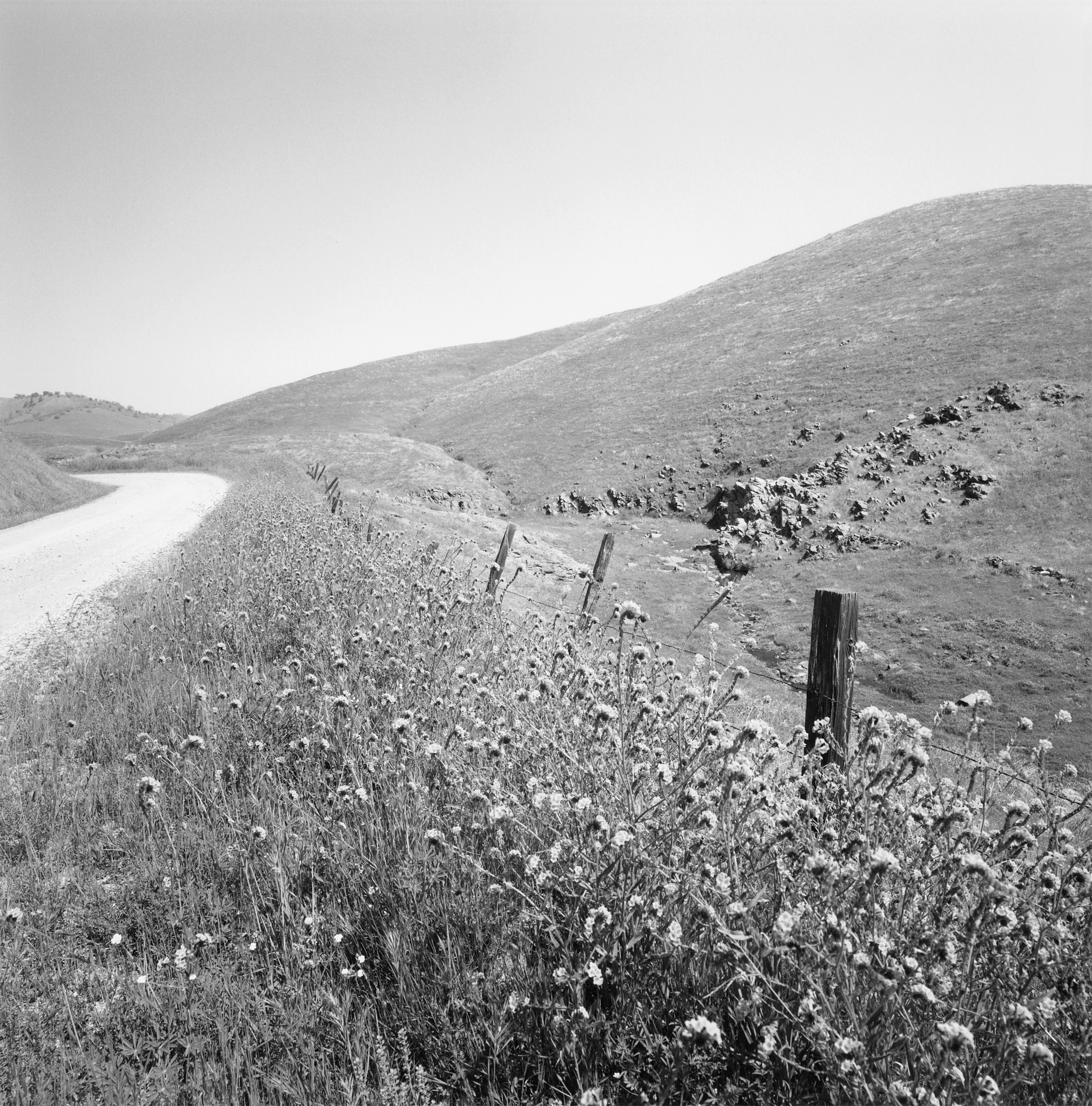 Madera County 15