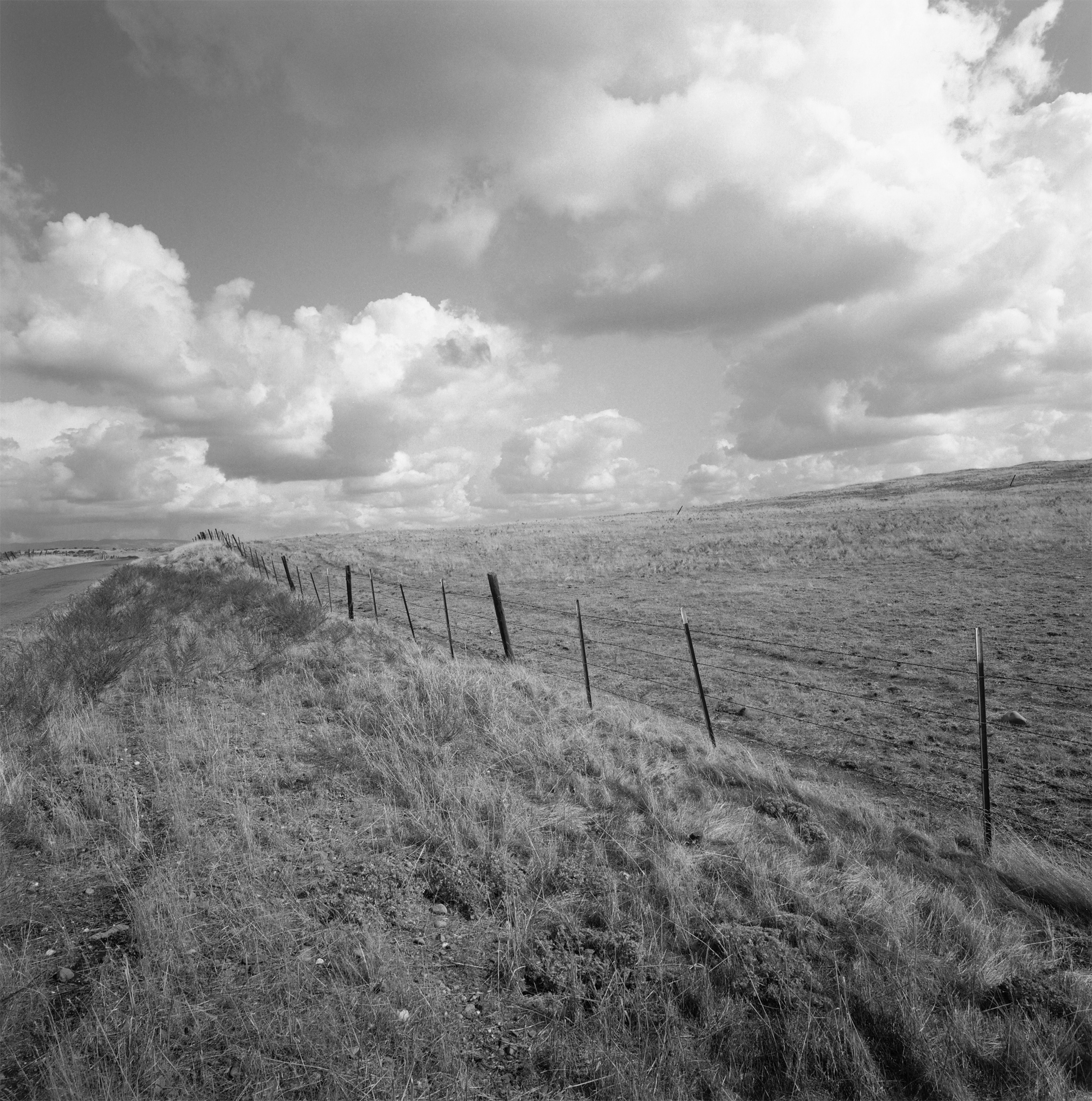 Mariposa County 6
