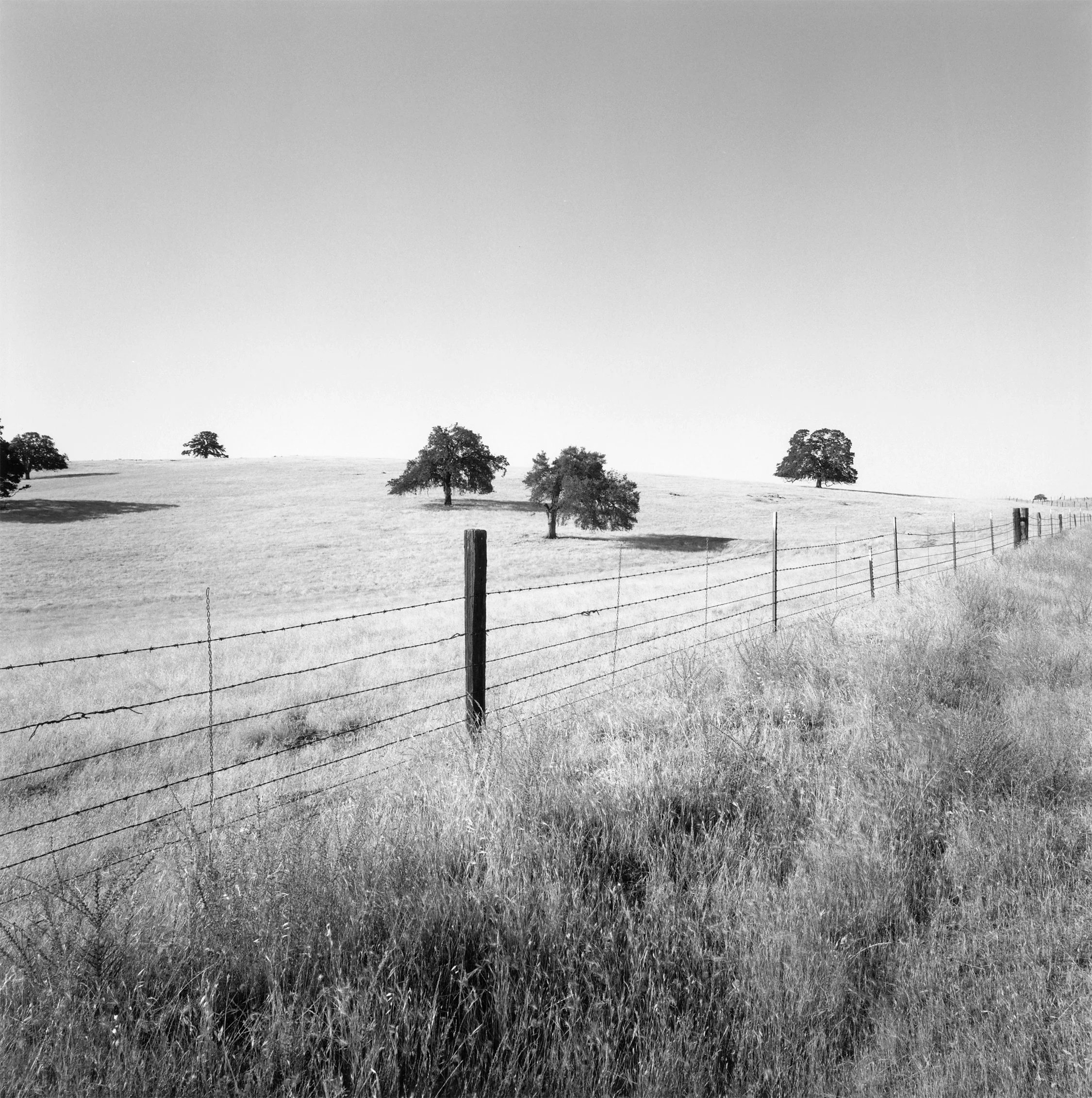 Madera County 16